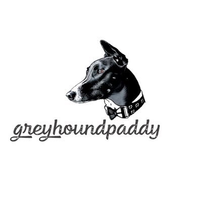 Paddy the Greyhound Profile