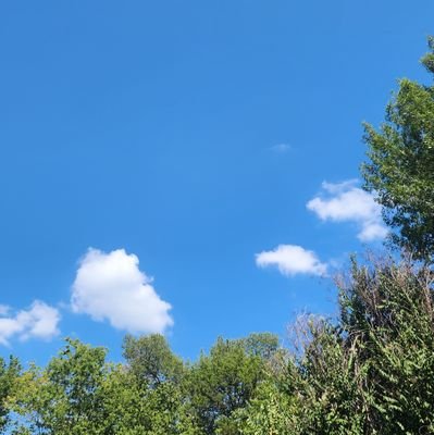 CaptScurvv's profile picture. 