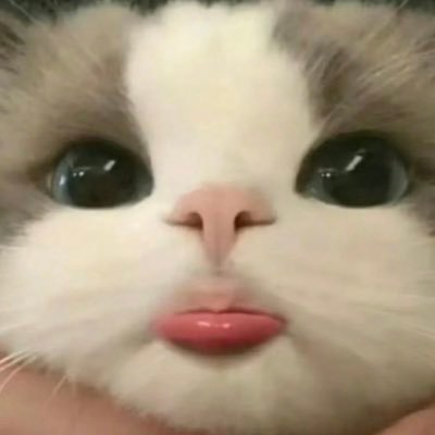 tagebuchvonraf's profile picture. 