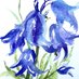 Lynn Drew (@lynndrew342881) Twitter profile photo Lynn Drew (@lynndrew342881) Twitter profile photo