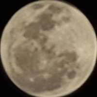 jonesvezone (@jonesvezone) 's Twitter Profile