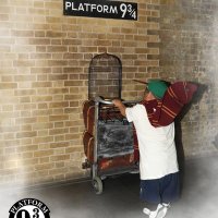 Paco Raccoon (@pacoraccoon) 's Twitter Profile Photo