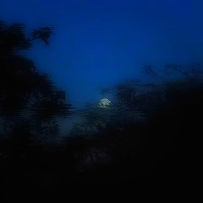 ⚛️さんのプロフィール画像