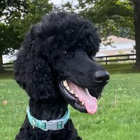 CTasdf (@ct_parks_asdf) 's Twitter Profile Photo CTasdf (@ct_parks_asdf) 's Twitter Profile Photo