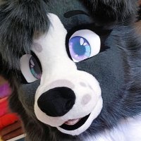 Lyra ๐ถ ๐ Aurawra ๐ (@lyracollie) 's Twitter Profile