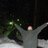 JAJazzy88's profile image