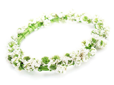 tcpip08436's profile picture. 勢いと運だけでここまで生きてきたマン