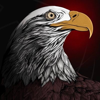 iNewton_19's profile picture. 