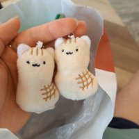 ふくにゃん＠27卒 (@ya_qiao79161) 's Twitter Profile Photo