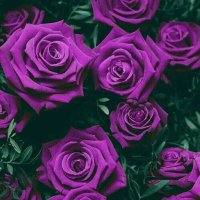 kaho💙 (@kjh0405kaho) 's Twitter Profile Photo