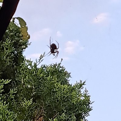 69house69's profile picture. NoOneNeedsToKnow