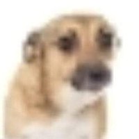 .๐ (@weinerrwizard) 's Twitter Profile Photo .๐ (@weinerrwizard) 's Twitter Profile Photo