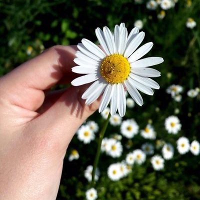 Israa851612's profile picture. Interior Designer