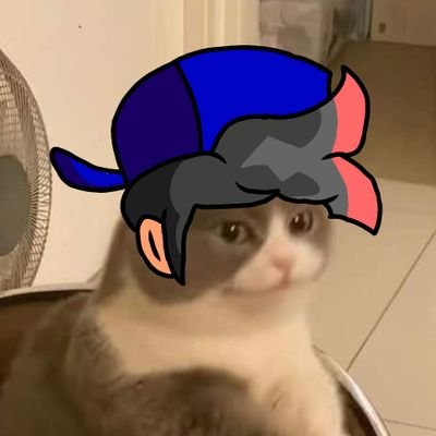 leodafunker005's profile picture. Hi, I'm a guy who did fnf covers, drawings and music for fun.
My favorite color is red.
I very like cats.
I speak spanish and some english 
and that's all xdd