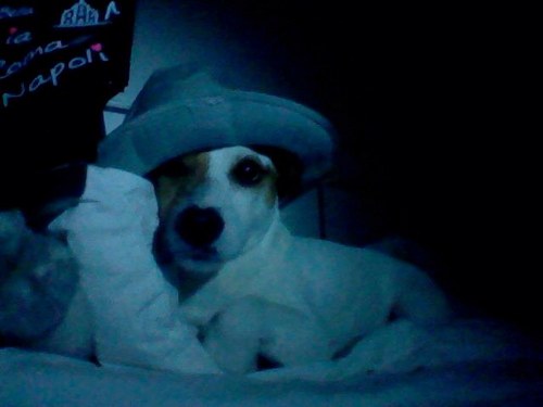 linamarcelapit's profile picture. 