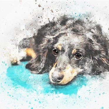 mikan9700357244's profile picture. 会社社長/個人投資家。昔、会社経営に失敗し膨大な借金を負う、諦めずに再び起業し複数の会社経営。現在は副業情報を発信したり、自分自身お金に苦労したので生活に困っている人を救いたいと思い、僅かですが現金配布企画をしています☆ ココ▶https://t.co/i6BCwU2ceL