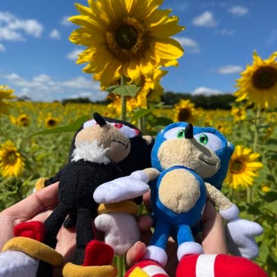 🌭🌭🌭🌭🌭🌶☕️☕️☕️☕️☕️🫘 Just two plushie hedgehogs enjoying life🖤💙 Follow us for their daily adventures! Account run by Berri🍓 and Clarie 🐣!