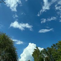 Nikki Eddins (@niksnook57) 's Twitter Profile