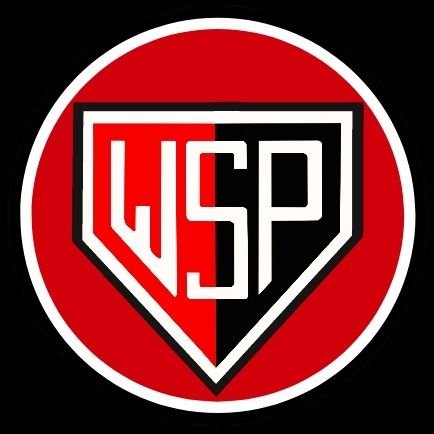 São-paulino, caipira, edito vídeos sobre o SPFC, fazedor de memes, tirador de sarro de gado extremista e palMEMEirense, e estudante de pós em design gráfico.