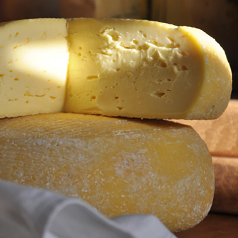 ShebbearCheese's profile picture. Was a small scale artisan cheesemaker. Still running cheesemaking courses.  P/T milk recorder. Winner of @TheoPaphitis #SBS 13th November 2011.