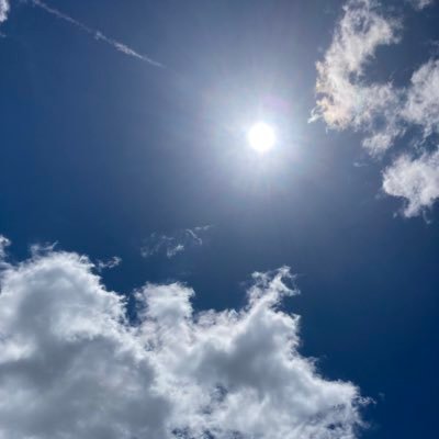 Ohisama_flower's profile picture. ぼくだよ