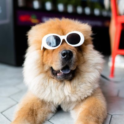 karantinakaye's profile picture. να μαζευτούμε να πάτε διακοπές