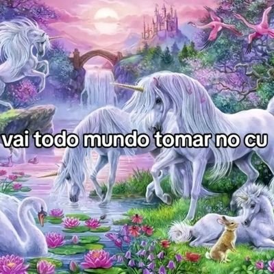 novin_curiosokl's profile picture. 