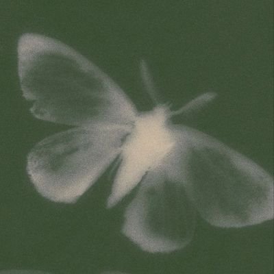 gelnovus's profile picture. 성인