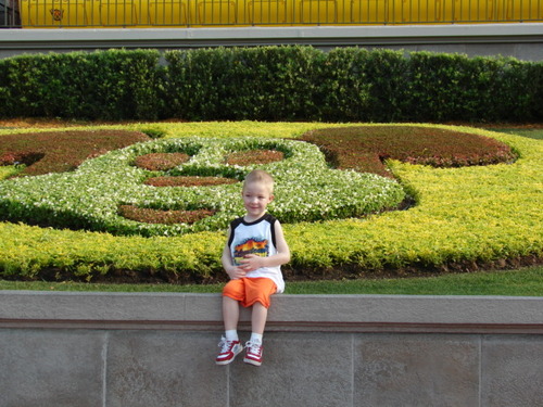 General Manager
