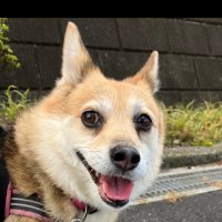 ねこまる 2097519_n.jpg