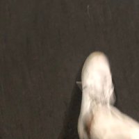 BzLary (@larybz0) 's Twitter Profile