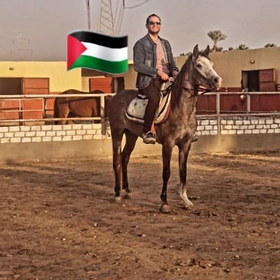 mizohacker7's profile picture. 