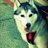 laulau3369's profile image