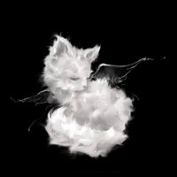Molo (@molo3270) 's Twitter Profile Photo Molo (@molo3270) 's Twitter Profile Photo