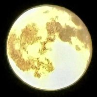 eenes (@gd12345679) Twitter profile photo