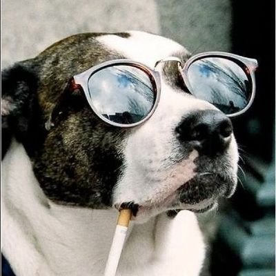 bbell9023's profile picture. 