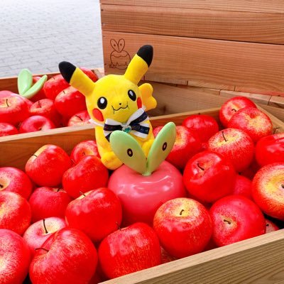 mypika_pico's profile picture. ポケモン思い出記録｜ポケぬい撮り｜マイピカ(それぞれのお名前はヘッダーで)｜初期ニョロゾ(うずたろ) ｜ポケモン以外(メイン)→ @keromaru06