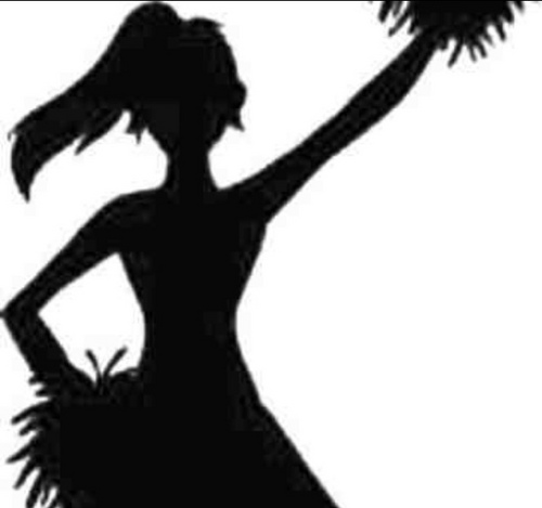 NFLcheerprobz's profile picture. 