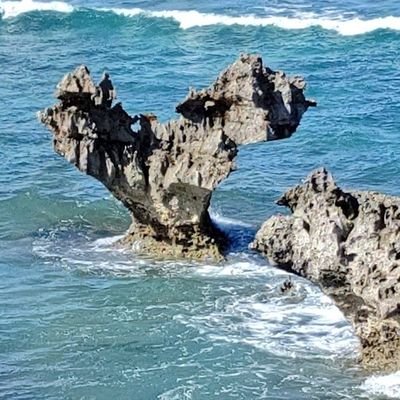 こちらは情報発信用アカウントに変更しました☺️個人的なアカウントは、下記に作りました↓宜しくお願いいたします✨
https://t.co/Iq0Rtjd2hQ