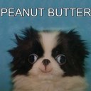 Marc Baumann - @SROmotion - Twitter