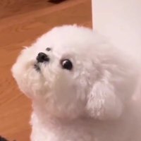  =͟͟͞͞♡ (@bujiijae17) 's Twitter Profile