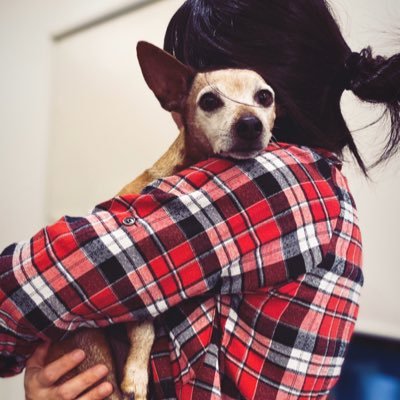 sabrinapk5's profile picture. Cuánto más conozco a las personas, más amo a los animales. De River obvio!⚪️🔴⚪️ 📍🇦🇷🇯🇵