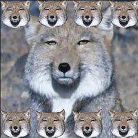 イヌナデタイ (@shuzo_san) 's Twitter Profile