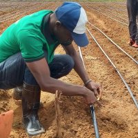 𝗧𝗵𝗲 𝗙𝗮𝗿𝗺𝗲𝗿𝘀 𝗚𝘂𝗶𝗱𝗲 (@thefarmersguid) 's Twitter Profile Photo 𝗧𝗵𝗲 𝗙𝗮𝗿𝗺𝗲𝗿𝘀 𝗚𝘂𝗶𝗱𝗲 (@thefarmersguid) 's Twitter Profile Photo