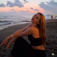 Alaycıkuş (@beealayc) 's Twitter Profile