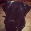 Ryan Lehr - @rlehr01 - Twitter