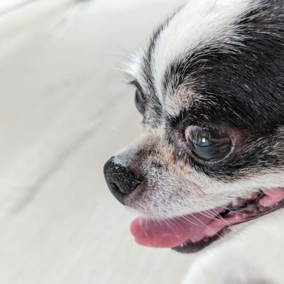 がみさんのプロフィール画像