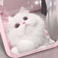 ⋆☾·̩͙꙳ (@nemnyqn_z) Twitter profile photo
