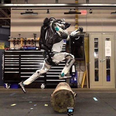 readyplayergab's profile picture. Computer Scientist Student