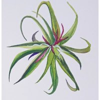 Chloe Chen Watercolor ~ 水 彩 (@yazo0602) 's Twitter Profile
